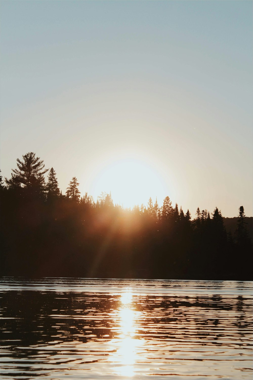 a body of water with trees around it