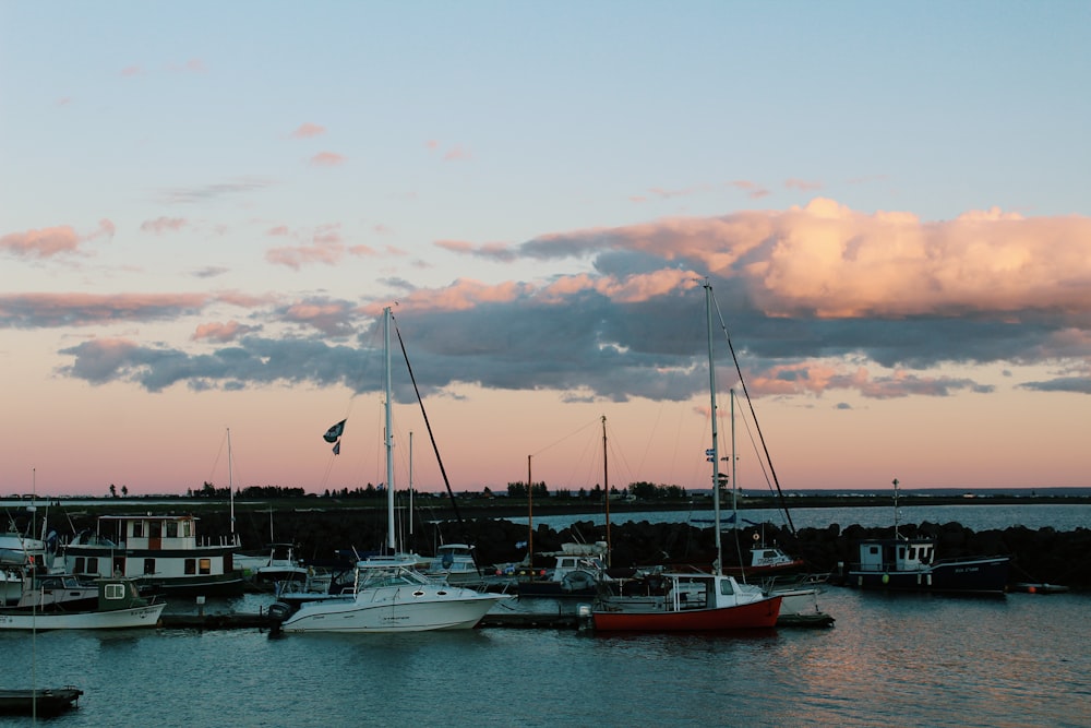 a group of boats sit in a harbor