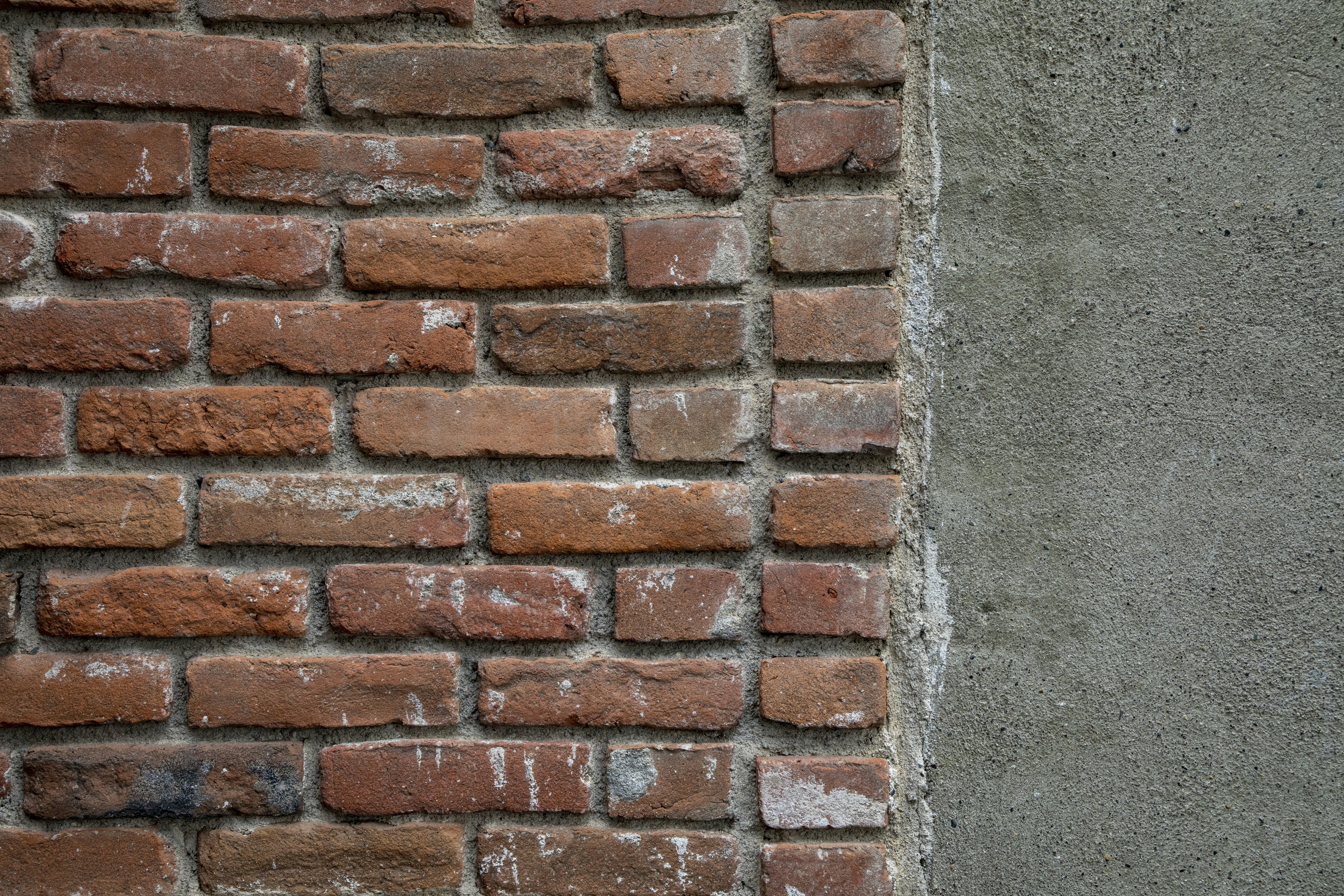 Photo by rocinante_11