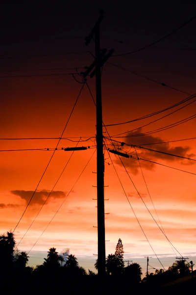 a power line with trees and a sunset in the background