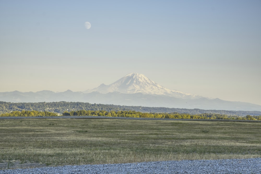 a field with a mountain in the background