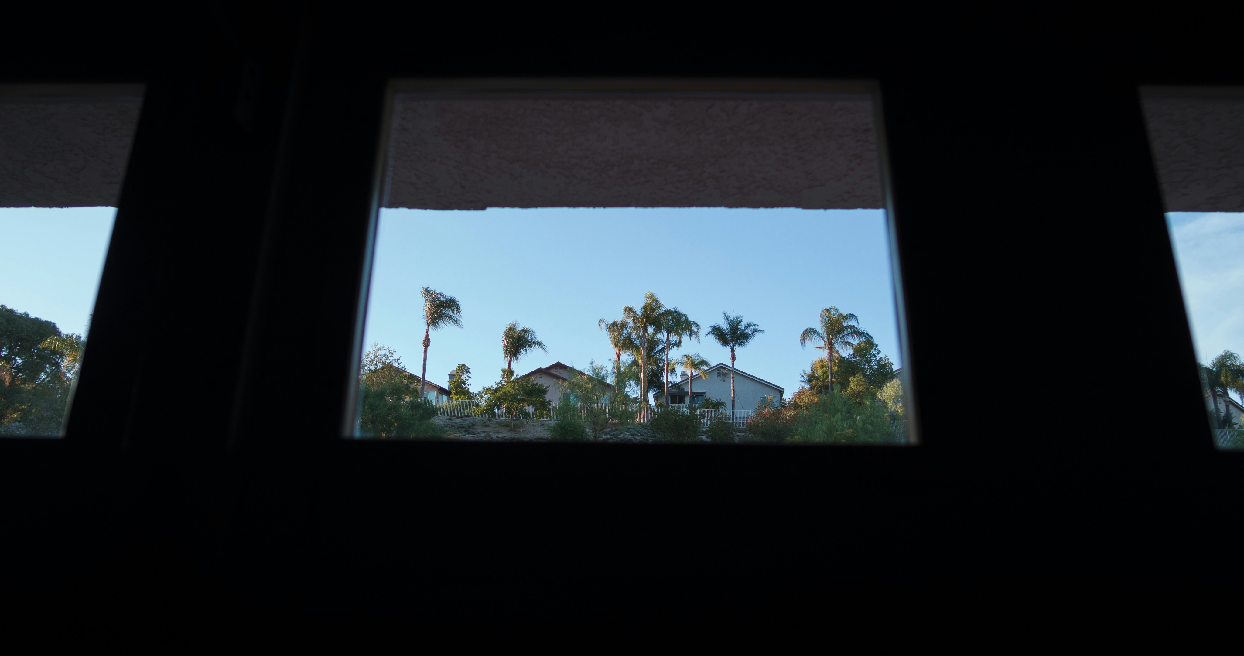A window with trees outside photo – Free Wallpaper Image on Unsplash