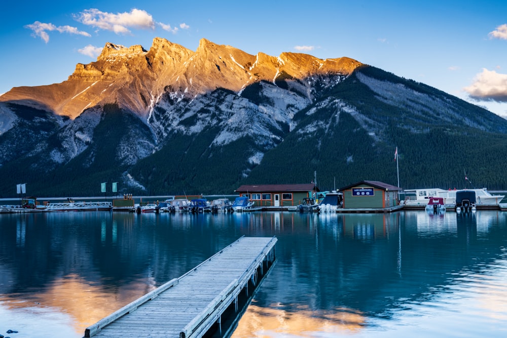 a dock leading to a town