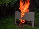 In a forested area, a wooden beehive or box is engulfed in bright orange flames, with intense fire rising upward against a backdrop of lush greenery.