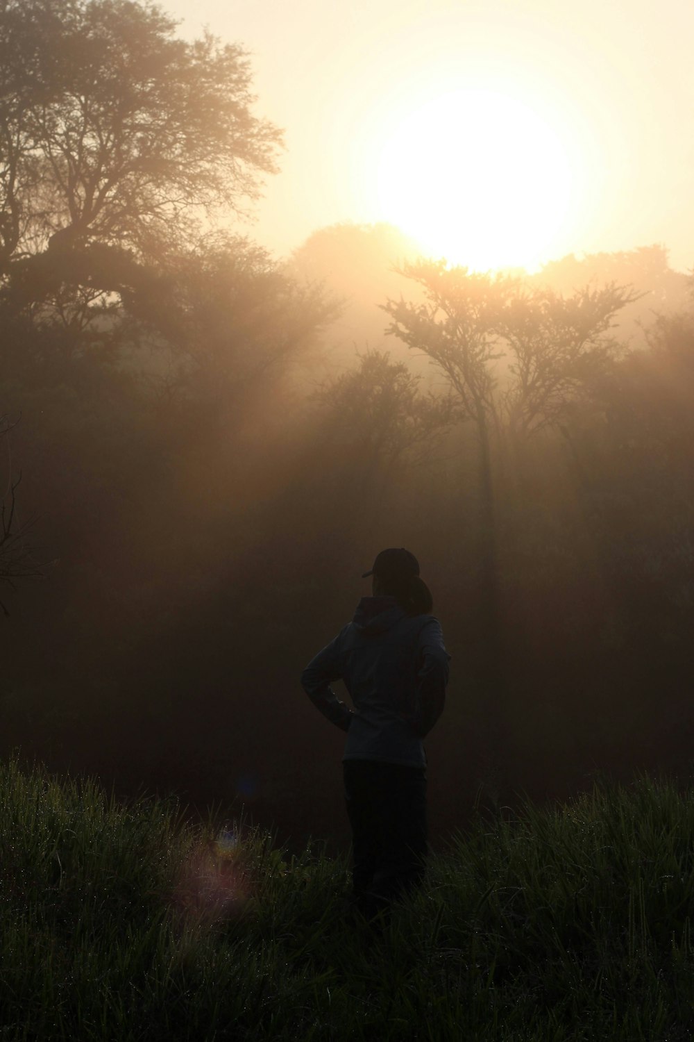 a person standing in a foggy field with trees and a bright sun