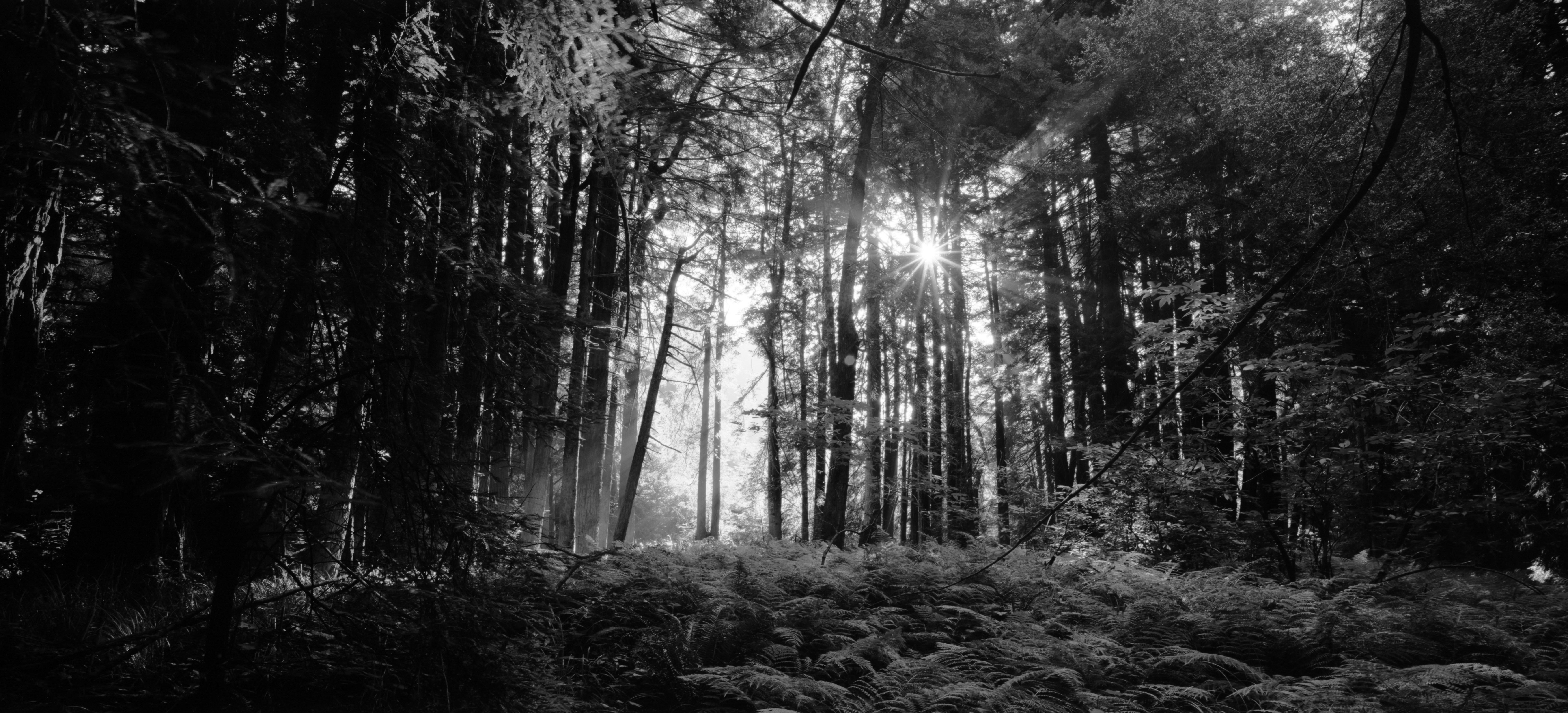 Photo by ronan18