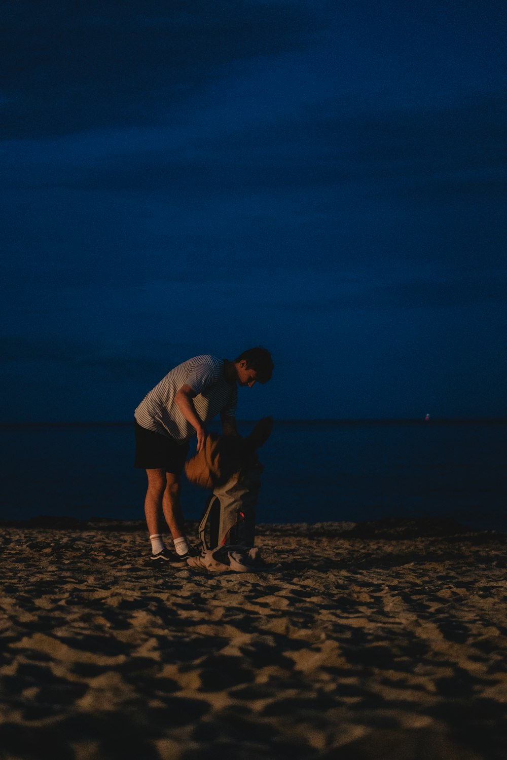 a man and a dog on a beach at night