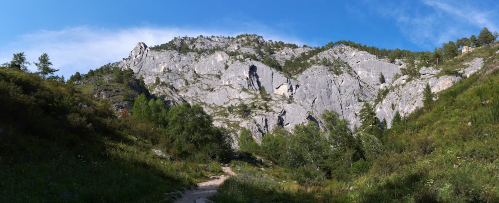 a rocky mountain with trees