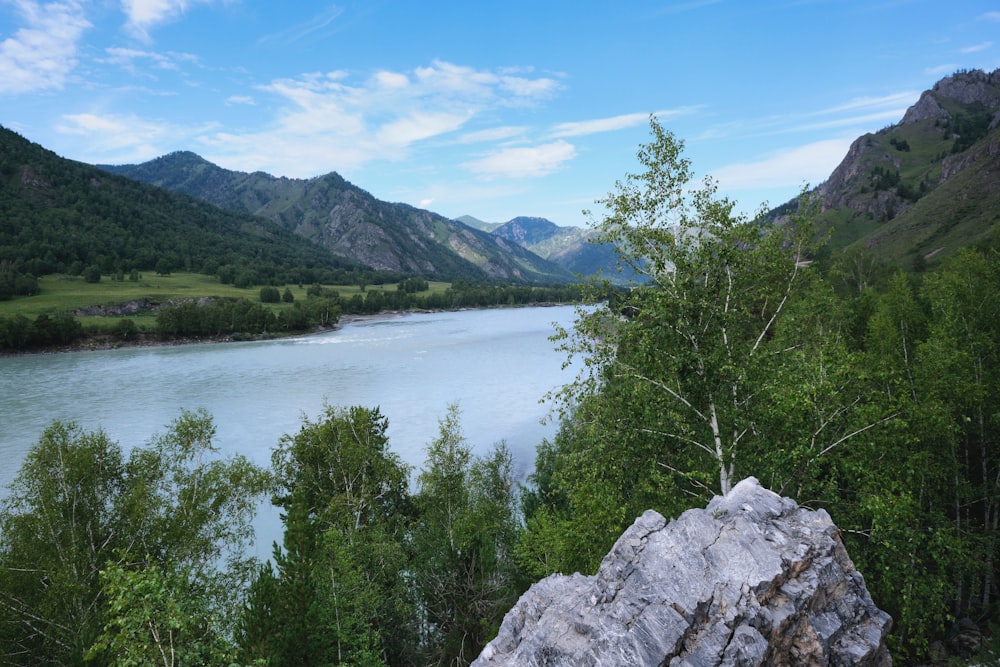 a lake surrounded by trees and mountains