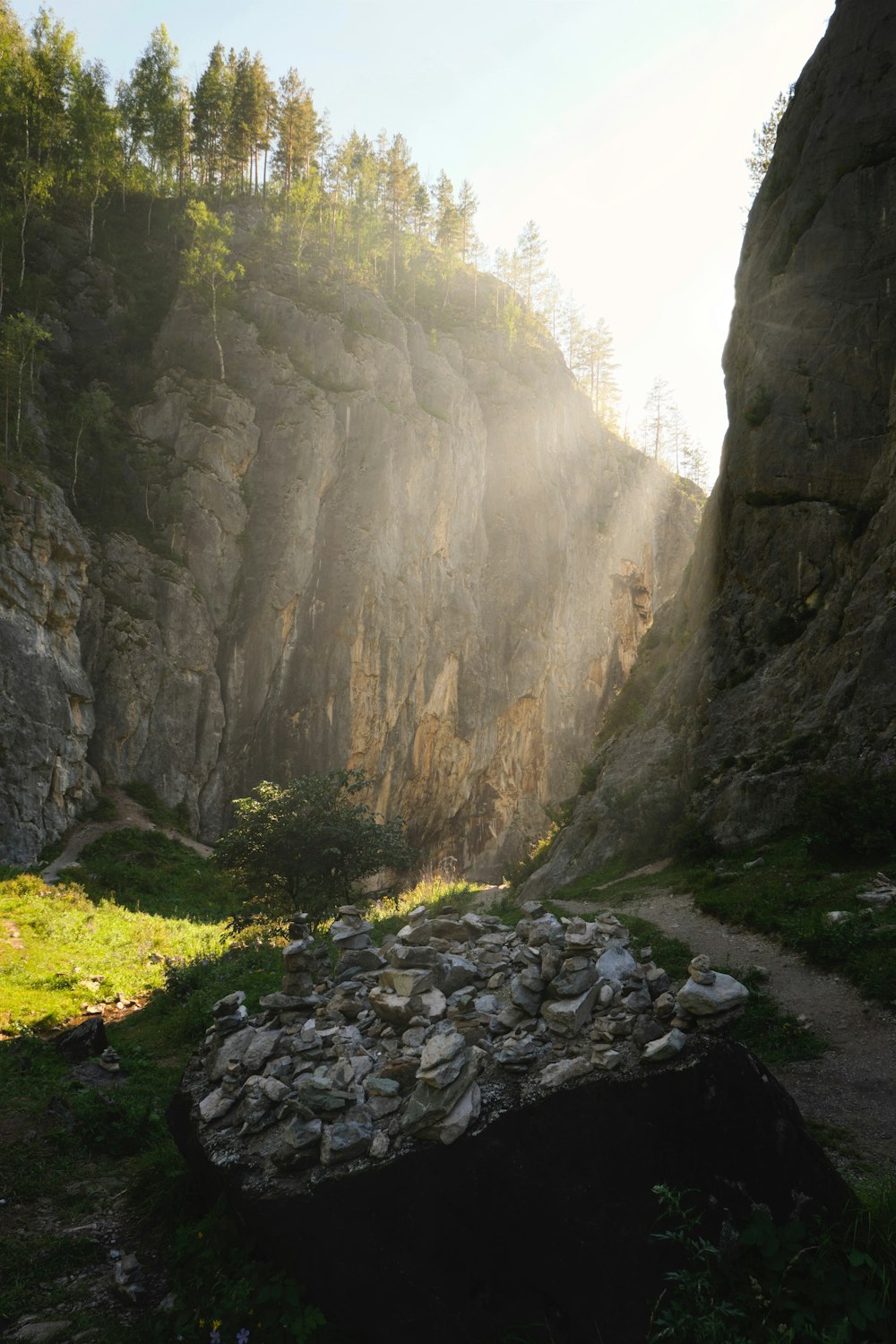 a rocky river with trees on the side