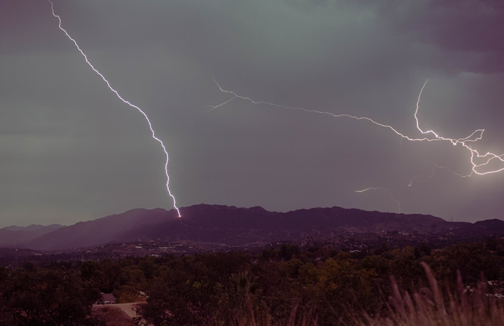 a group of lightning strikes in the sky