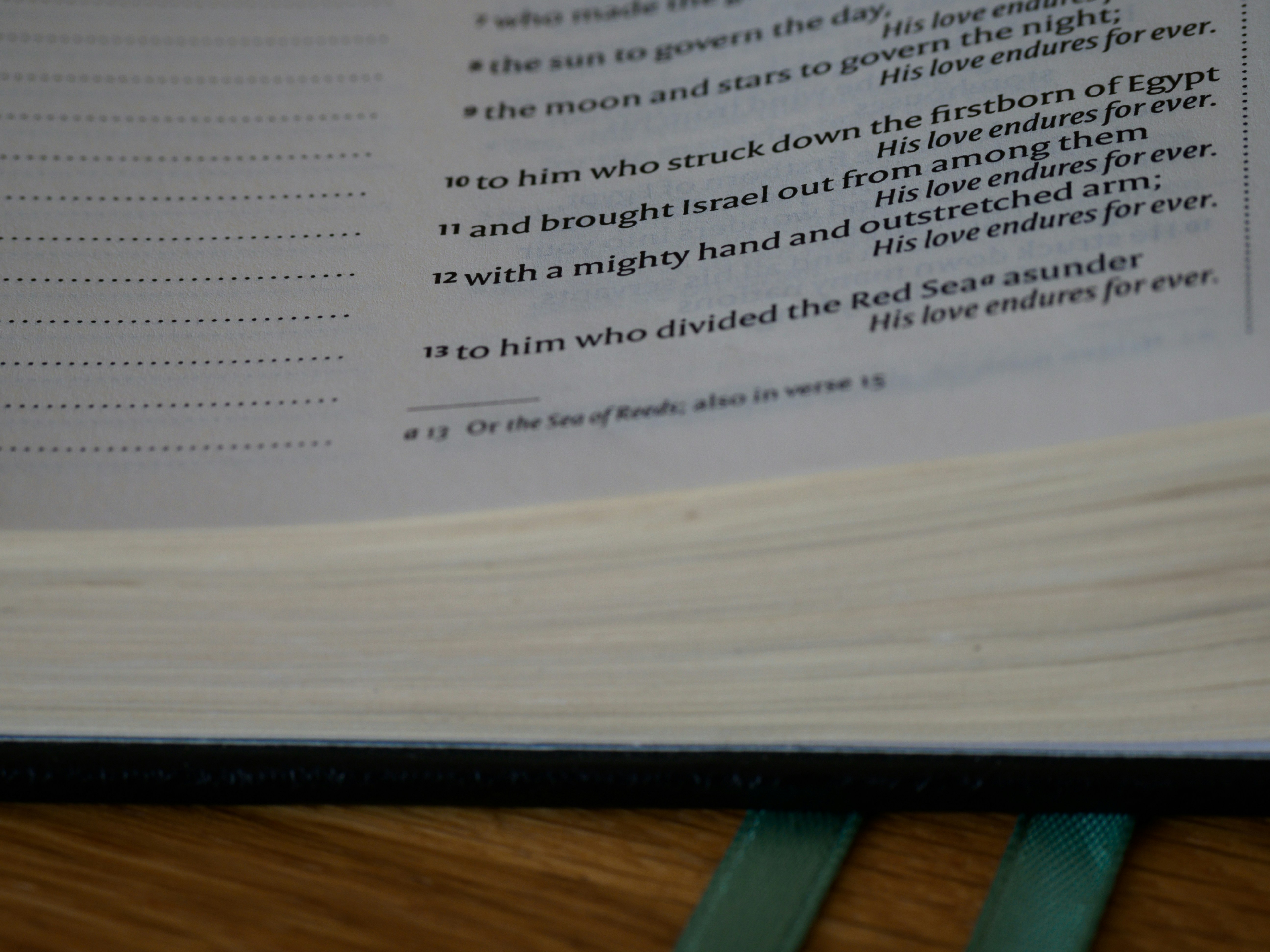 Photo by brett_jordan