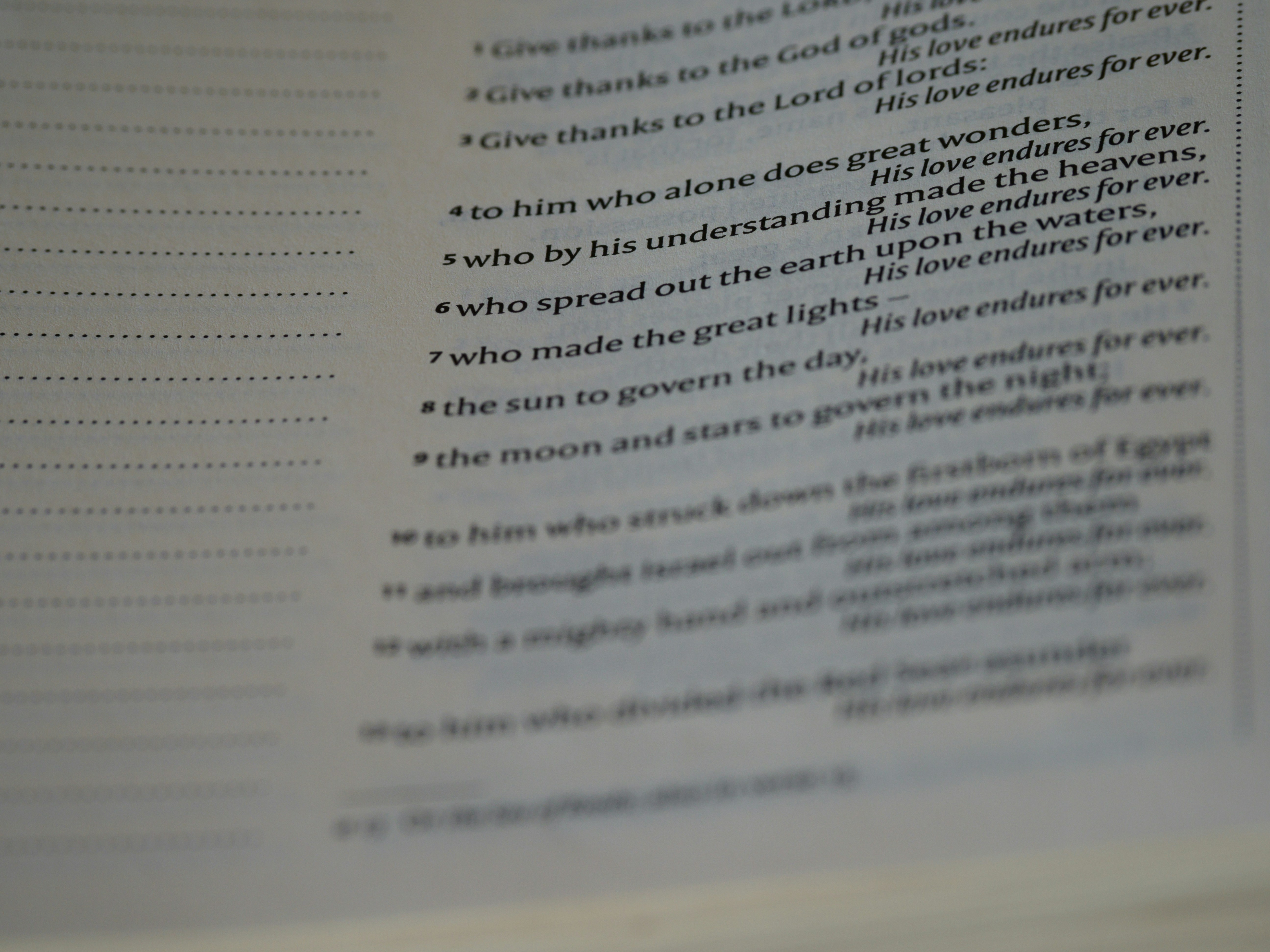 close up, bokeh, macro, blur, blurred background, close focus, bible, old testament, hebrew bible, christian, judaism, history, text, reading, bible study, devotions, text, NIV, New International Version, type, typography, canon, christianity, holy script