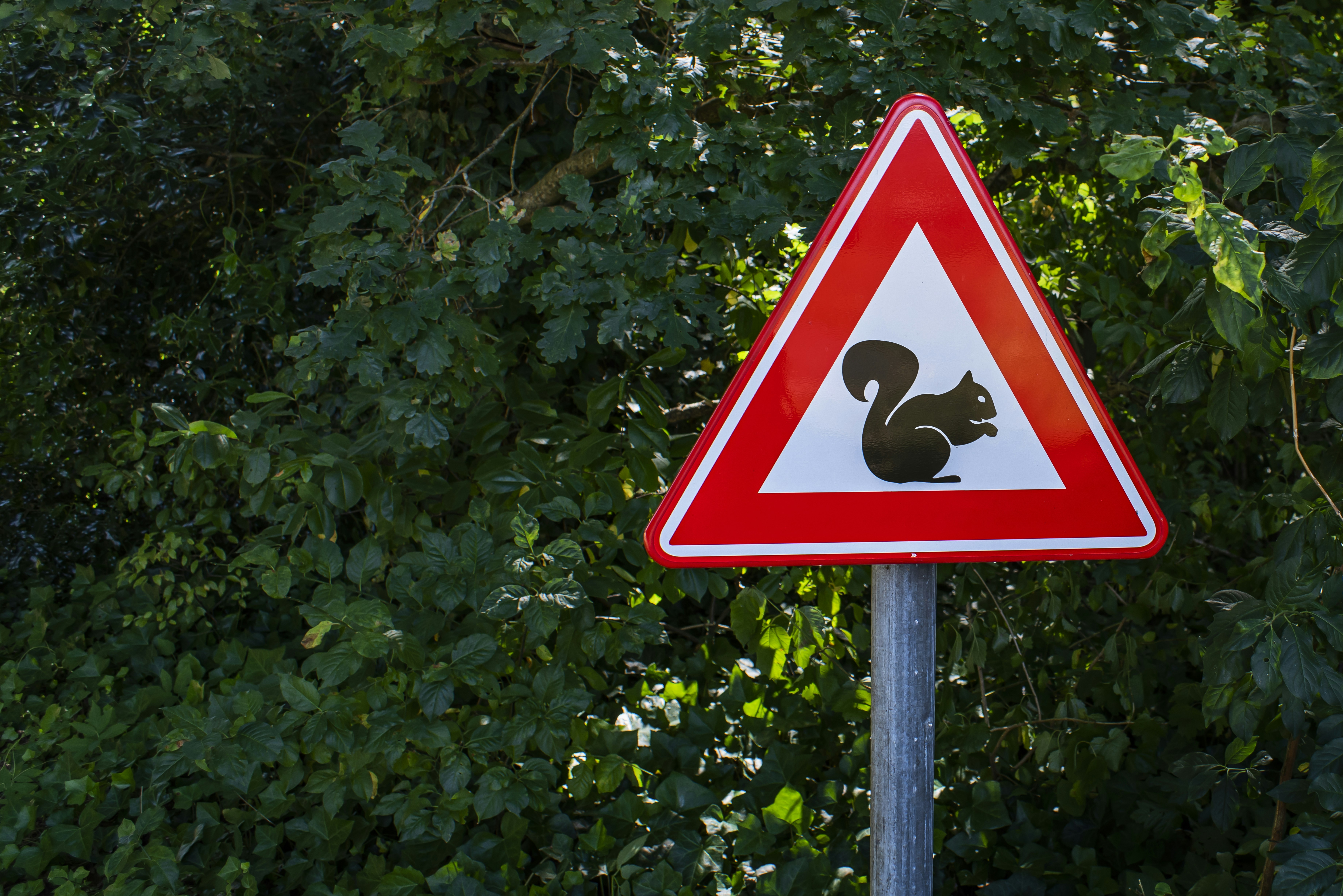 Photo by switch_dtp_fotografie