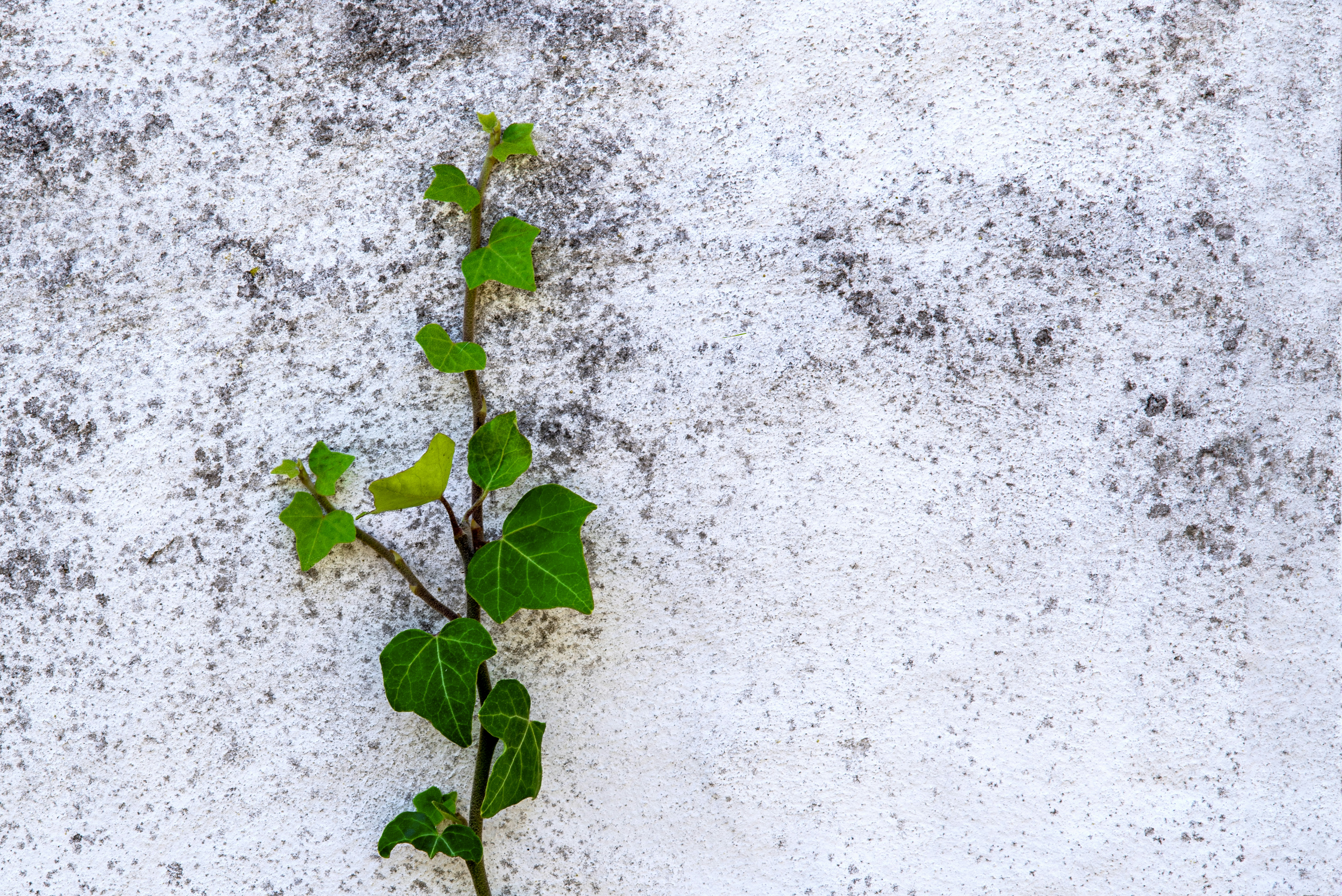 Photo by switch_dtp_fotografie