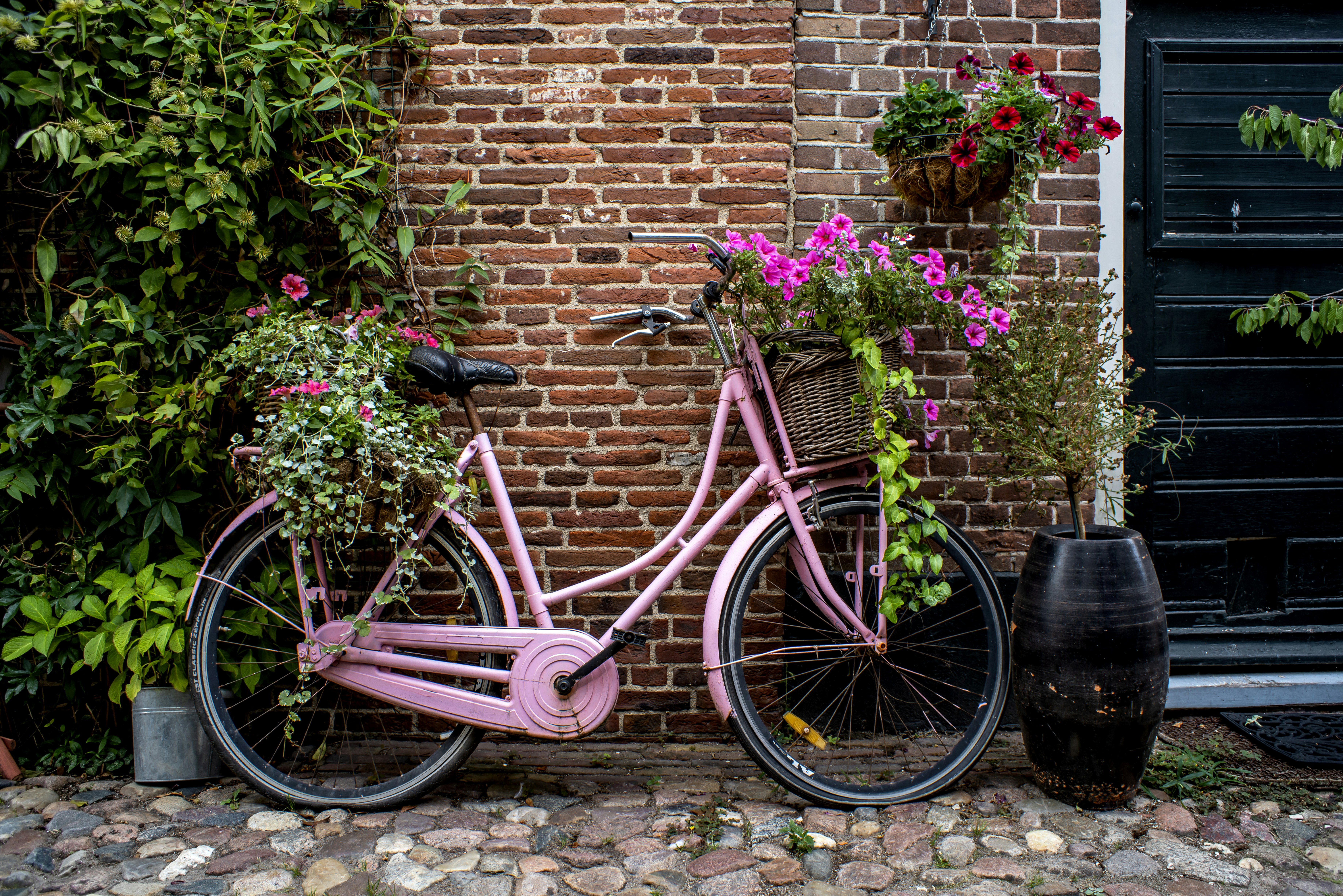 Photo by switch_dtp_fotografie