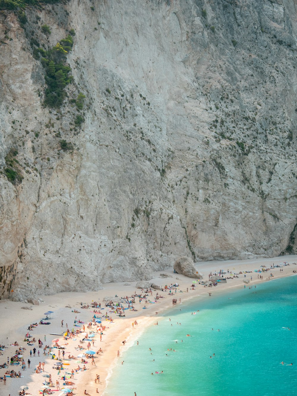 a large group of people on a beach