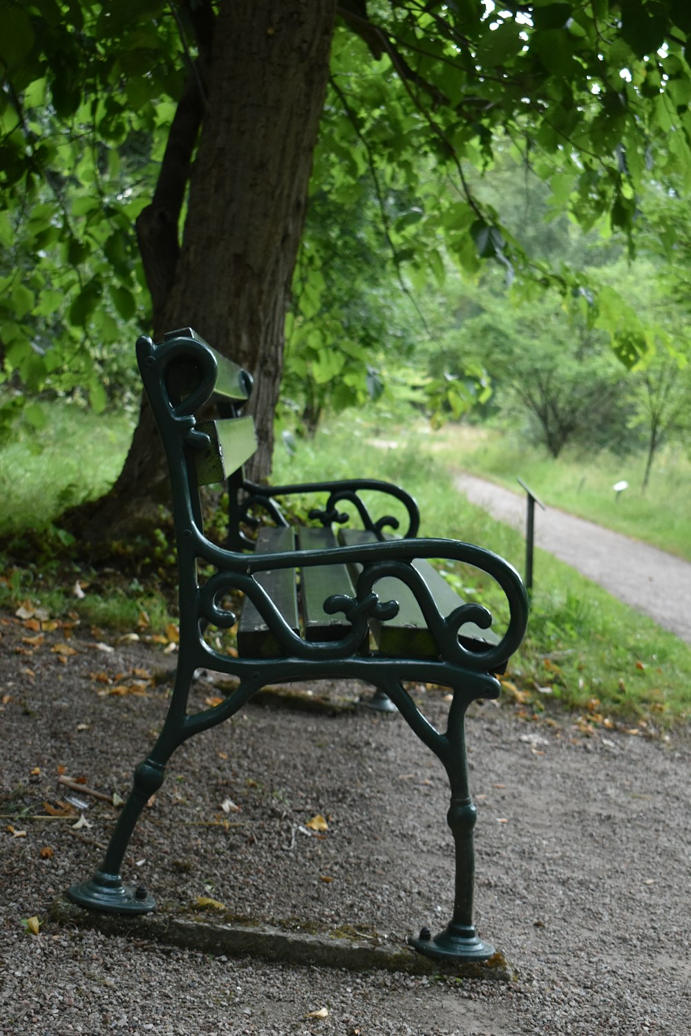 a bench sits unoccupied