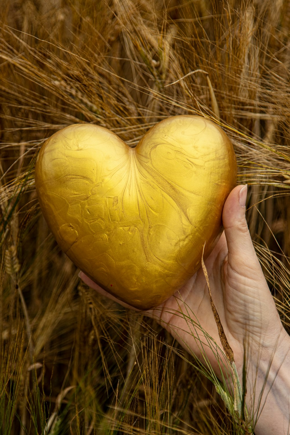 a hand holding a yellow potato