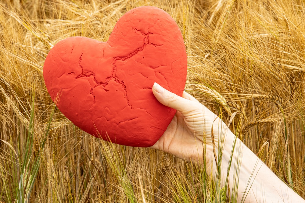 a hand holding a heart shaped object