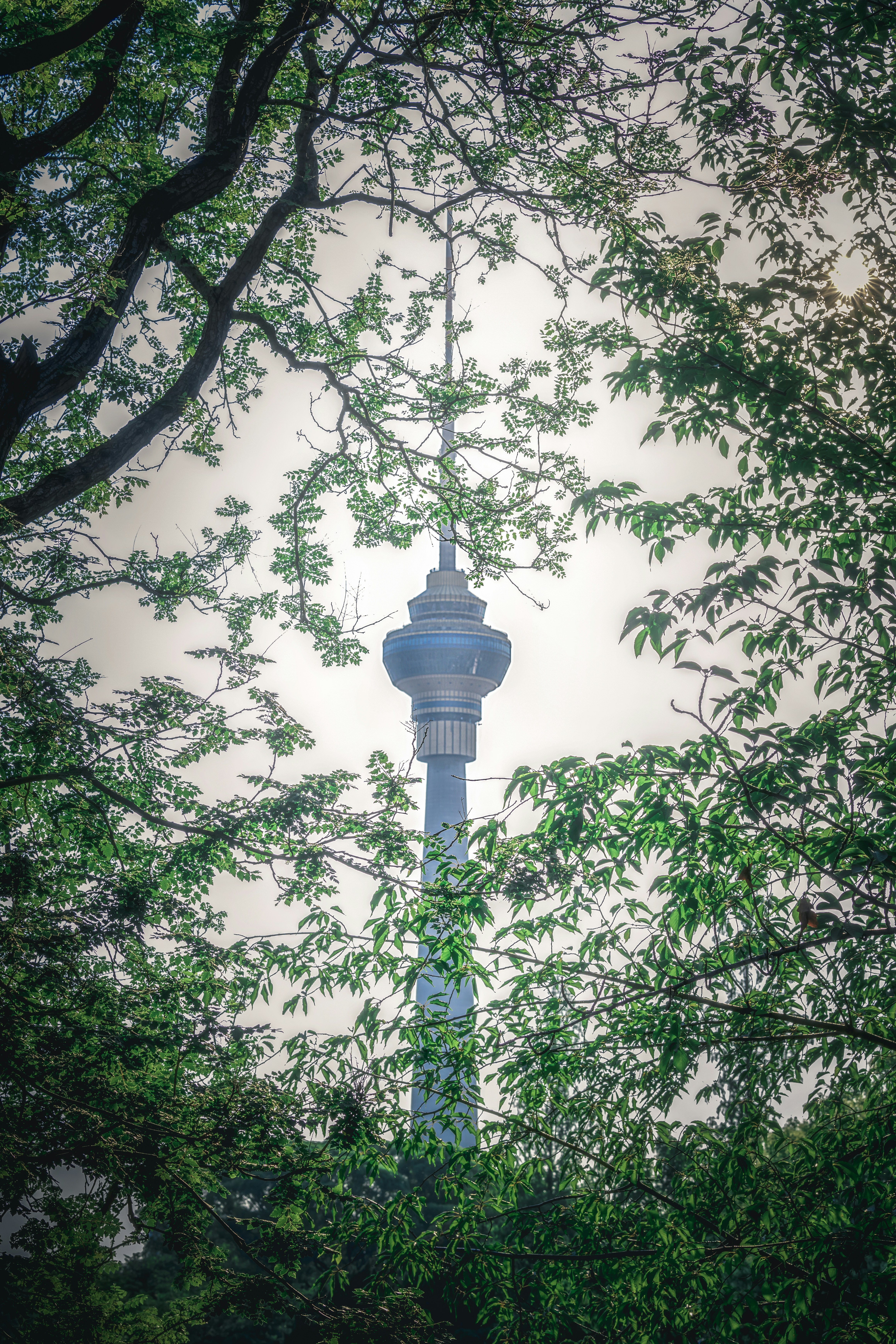 Photo by juliuscarmine