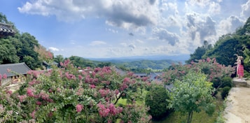 A scenic view of a lush garden with vibrant pink flowering trees and traditional Korean architecture roofs nestled amidst green foliage. The background features rolling hills and a clear blue sky with scattered clouds. A person wearing a pink and white striped dress stands on a stone path to the right, looking out at the view.