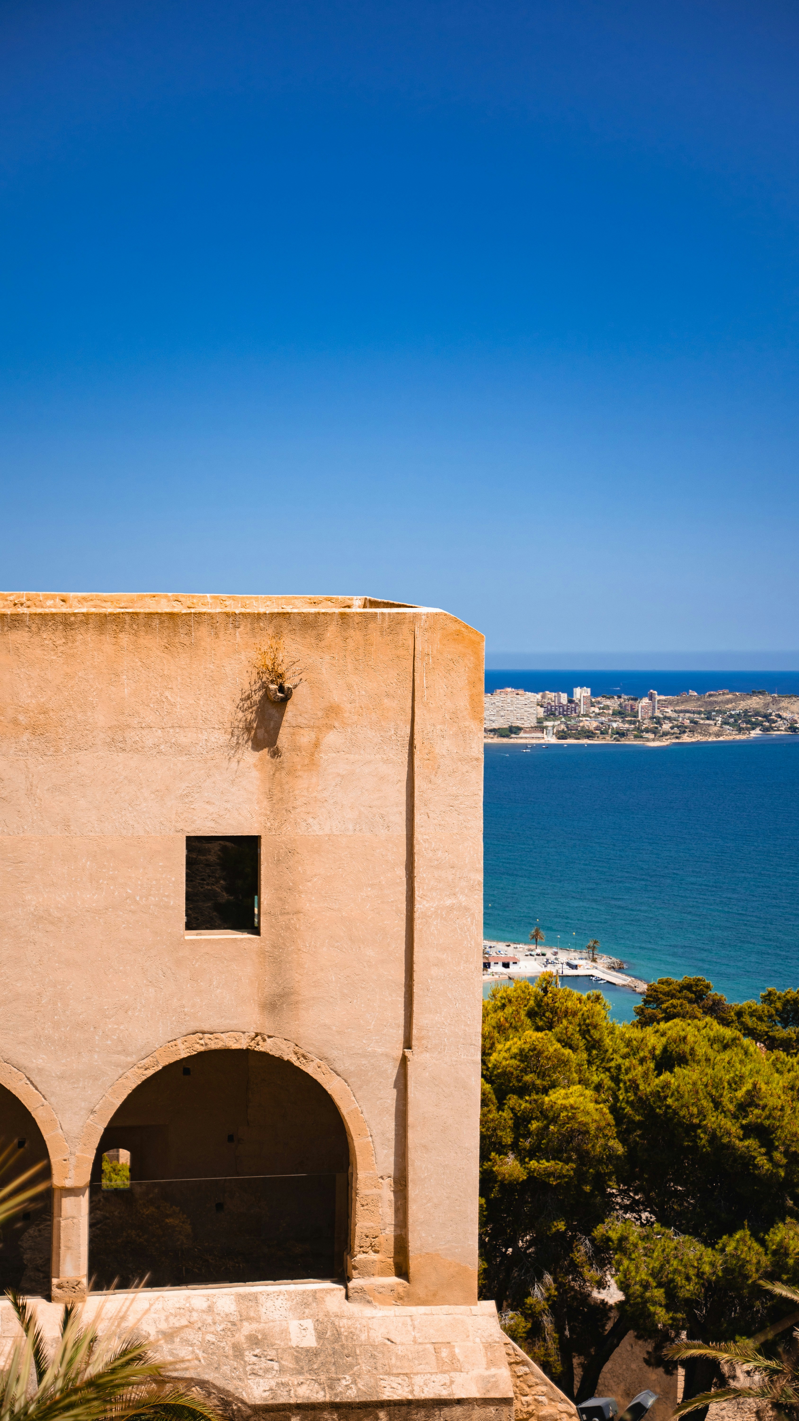 Photo by bryammedeiros