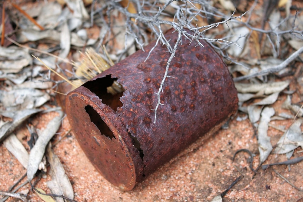 una foglia marrone sul terreno