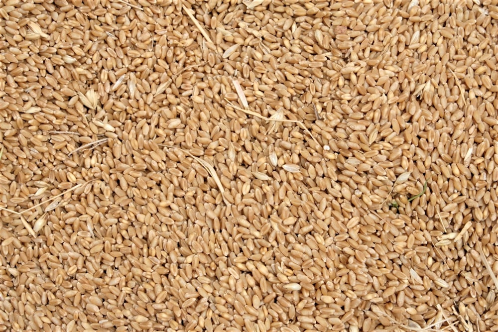 a close up of grains