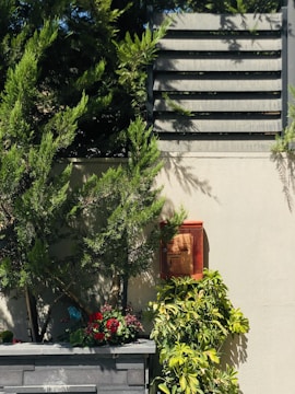 A lush outdoor scene features various types of greenery including trees and shrubs. A beige concrete wall is topped with a dark wooden slat fence, and a red display box is mounted on the wall. Below, there is a planter with vibrant red and pink flowers.