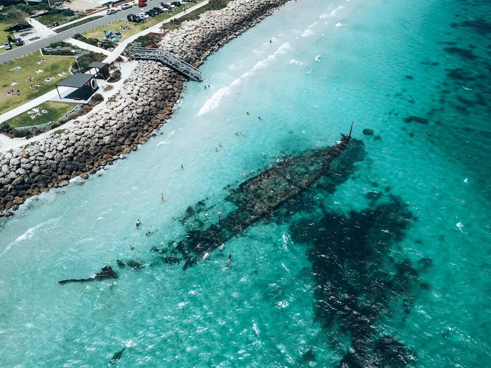 a large body of water with a beach and a plane flying over it