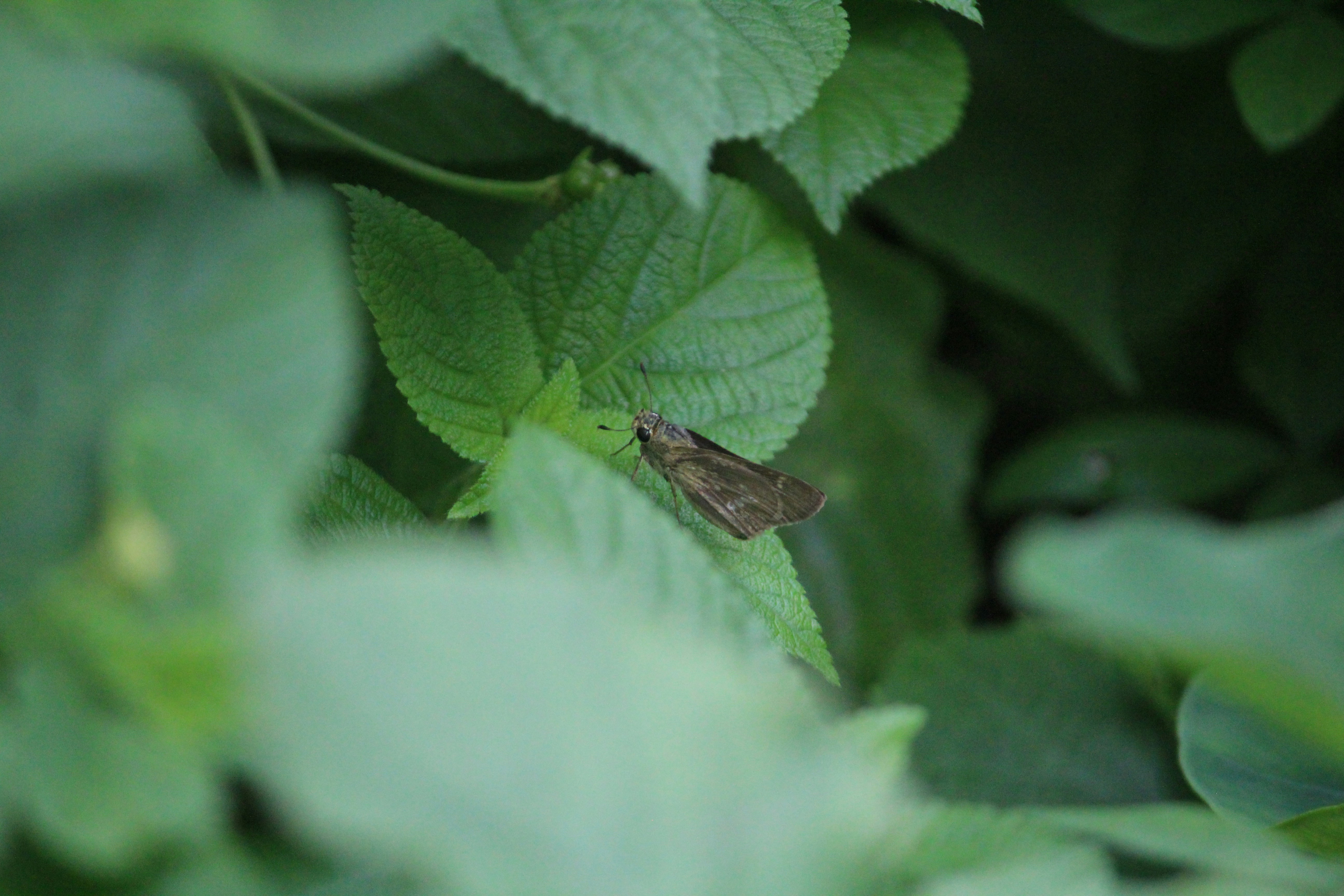 Photo by creativepoka