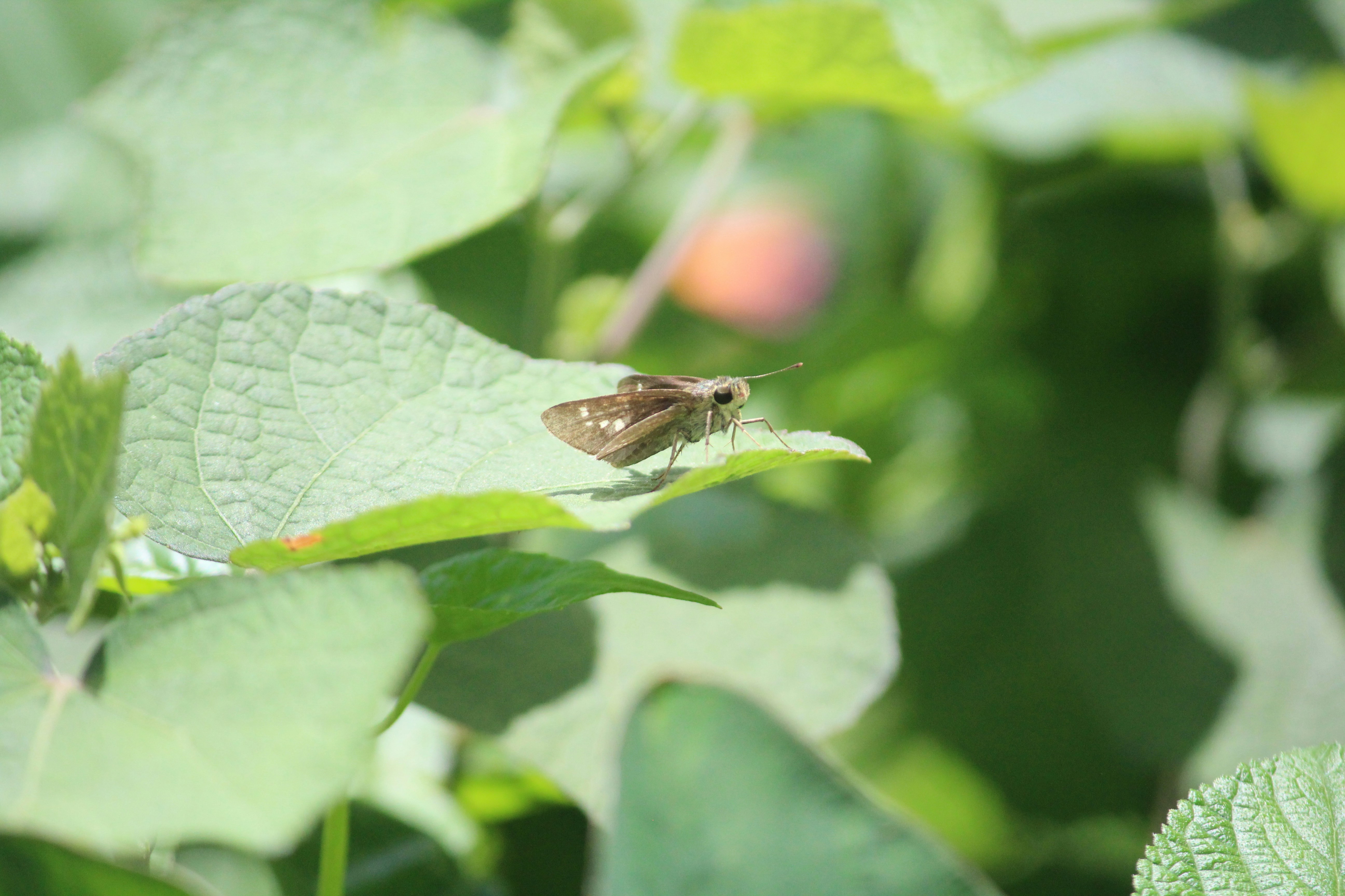 Photo by creativepoka