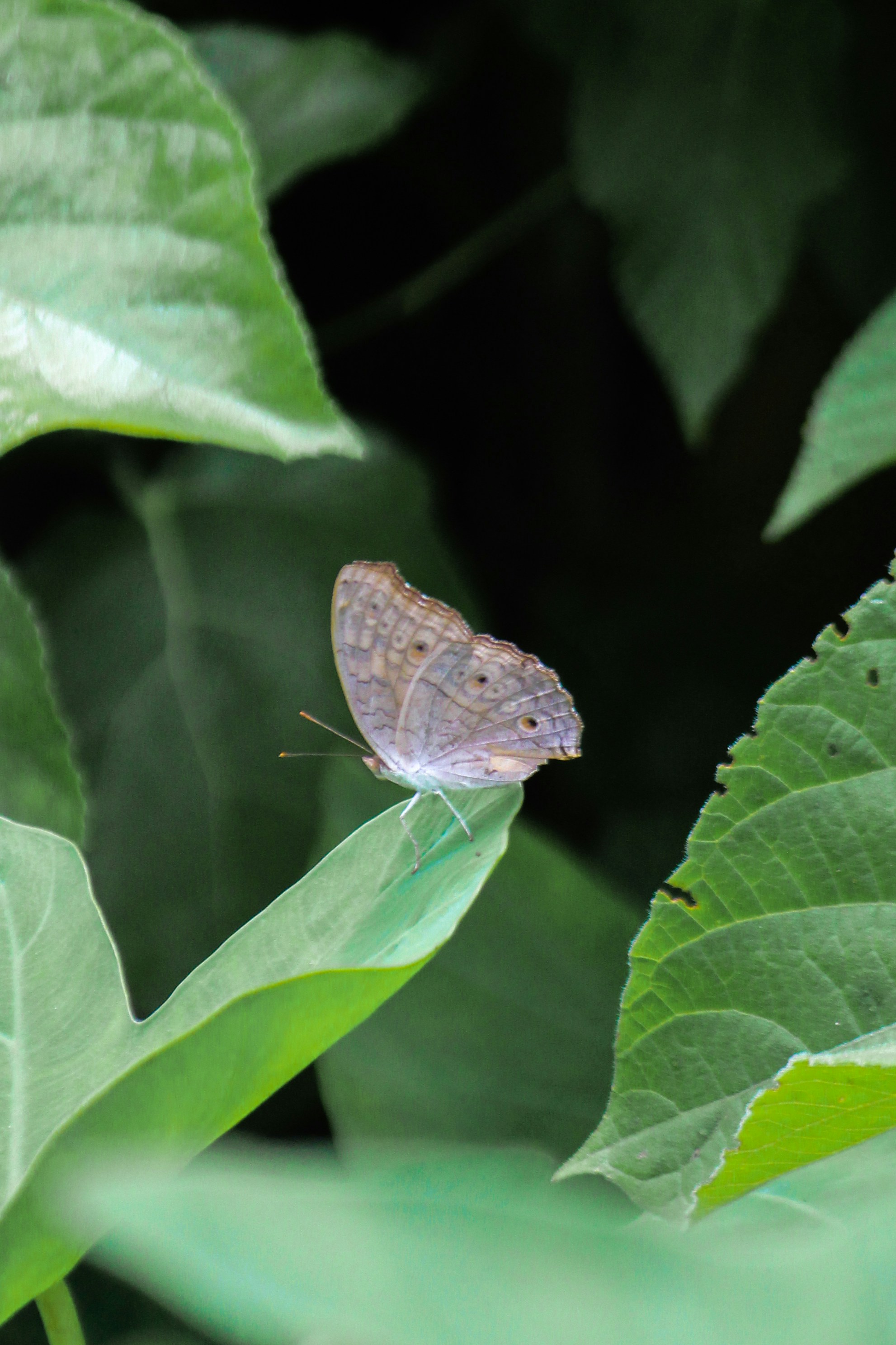 Photo by creativepoka