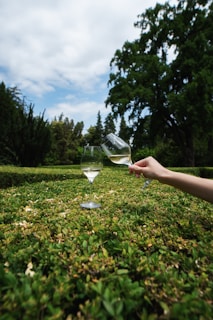 a hand holding a wine glass