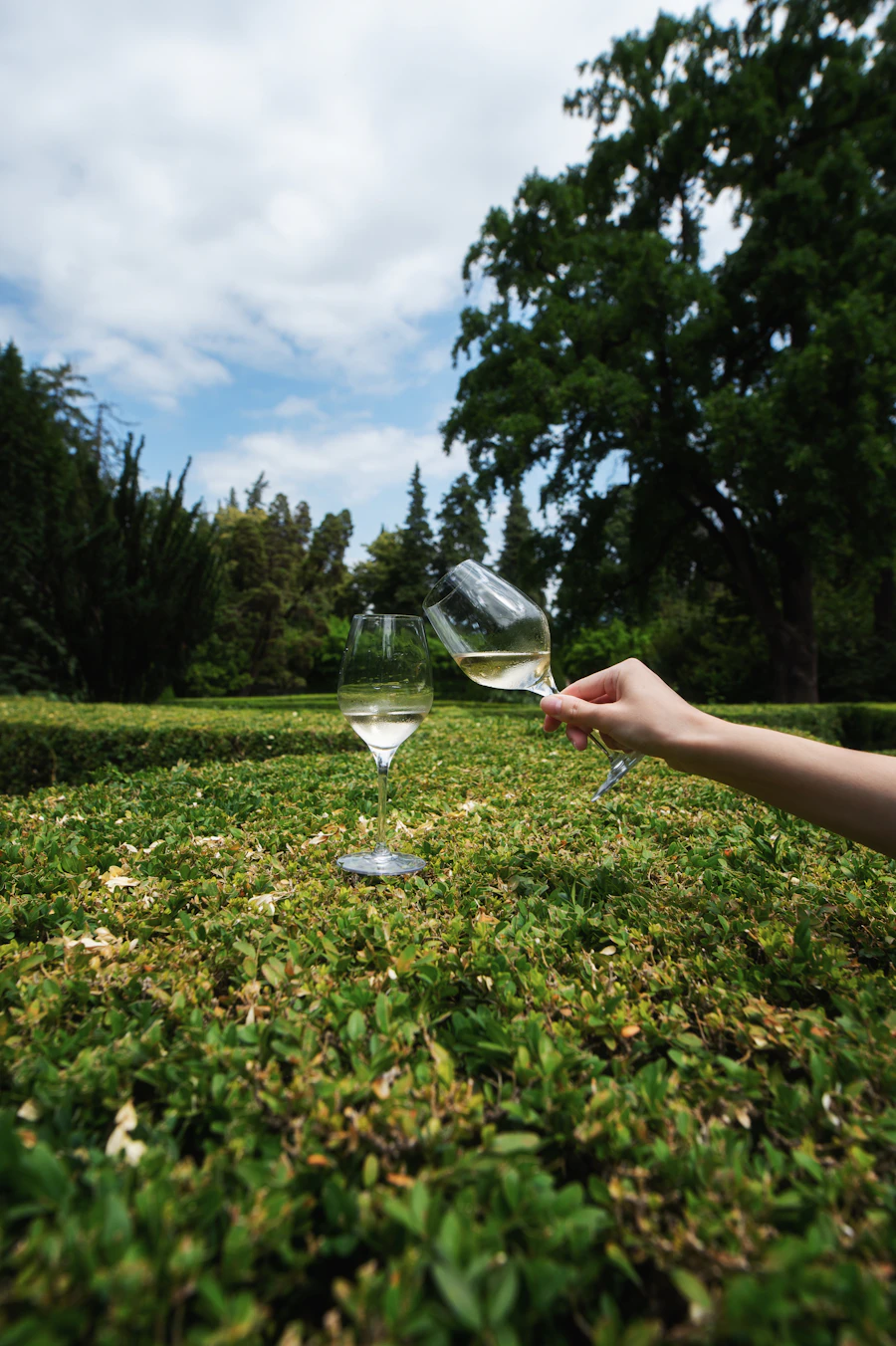 A glass of wine overlooking the landscape in Kakheti, Georgia