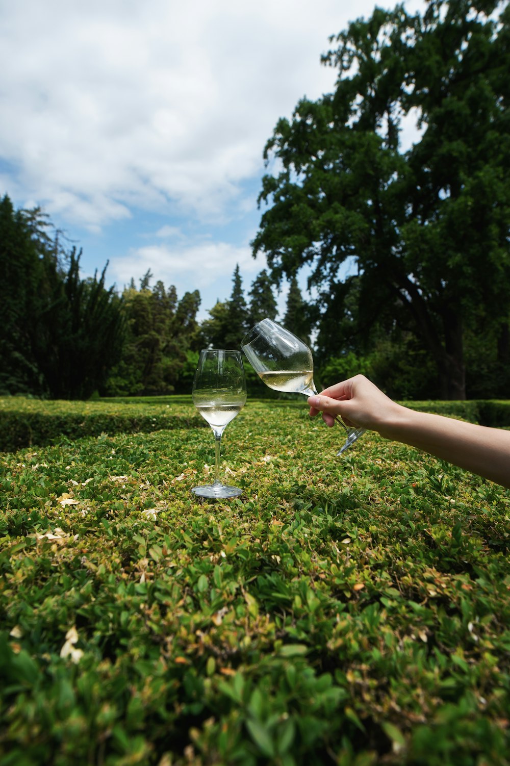 a hand holding a wine glass