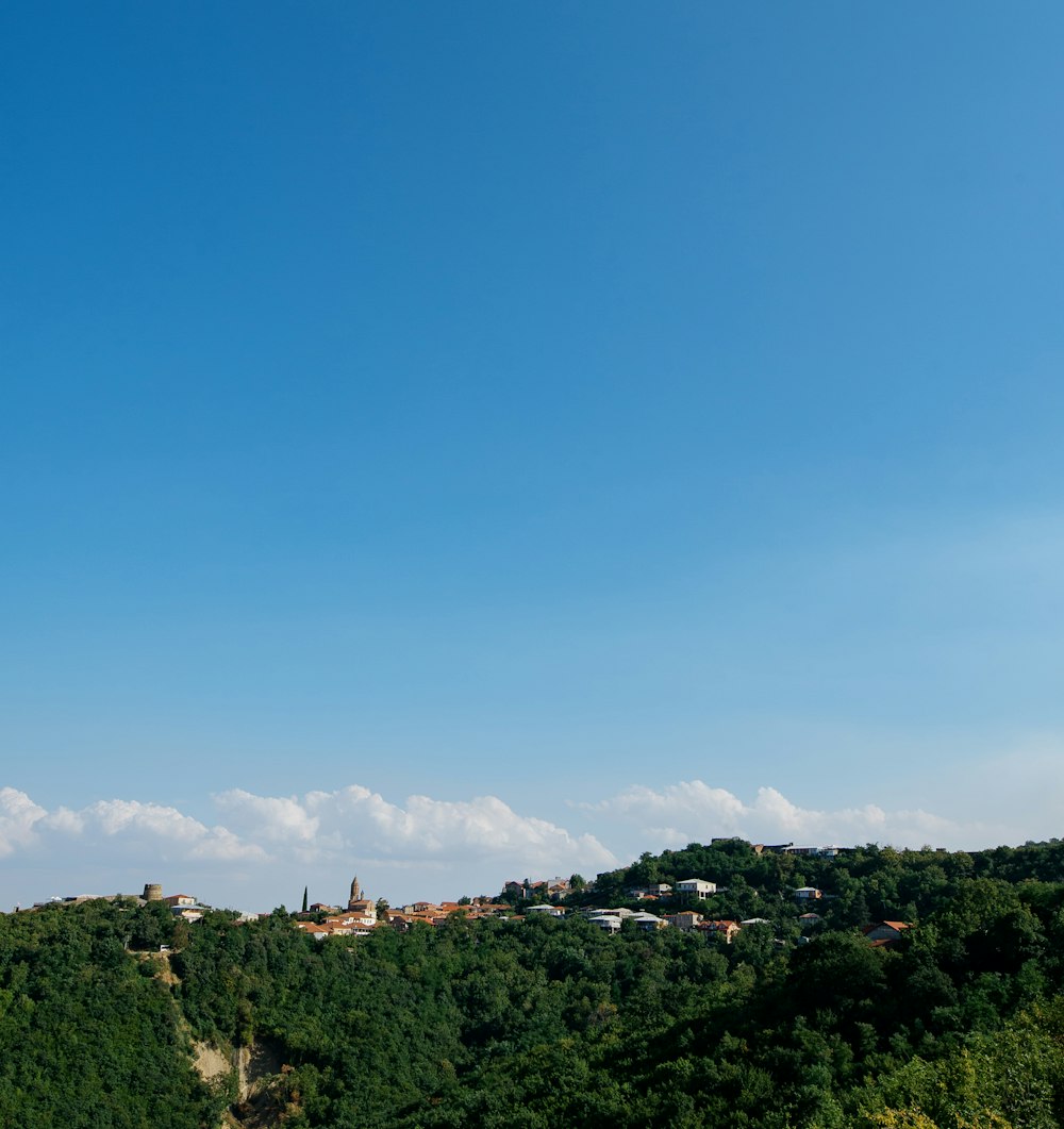 a landscape with trees and buildings