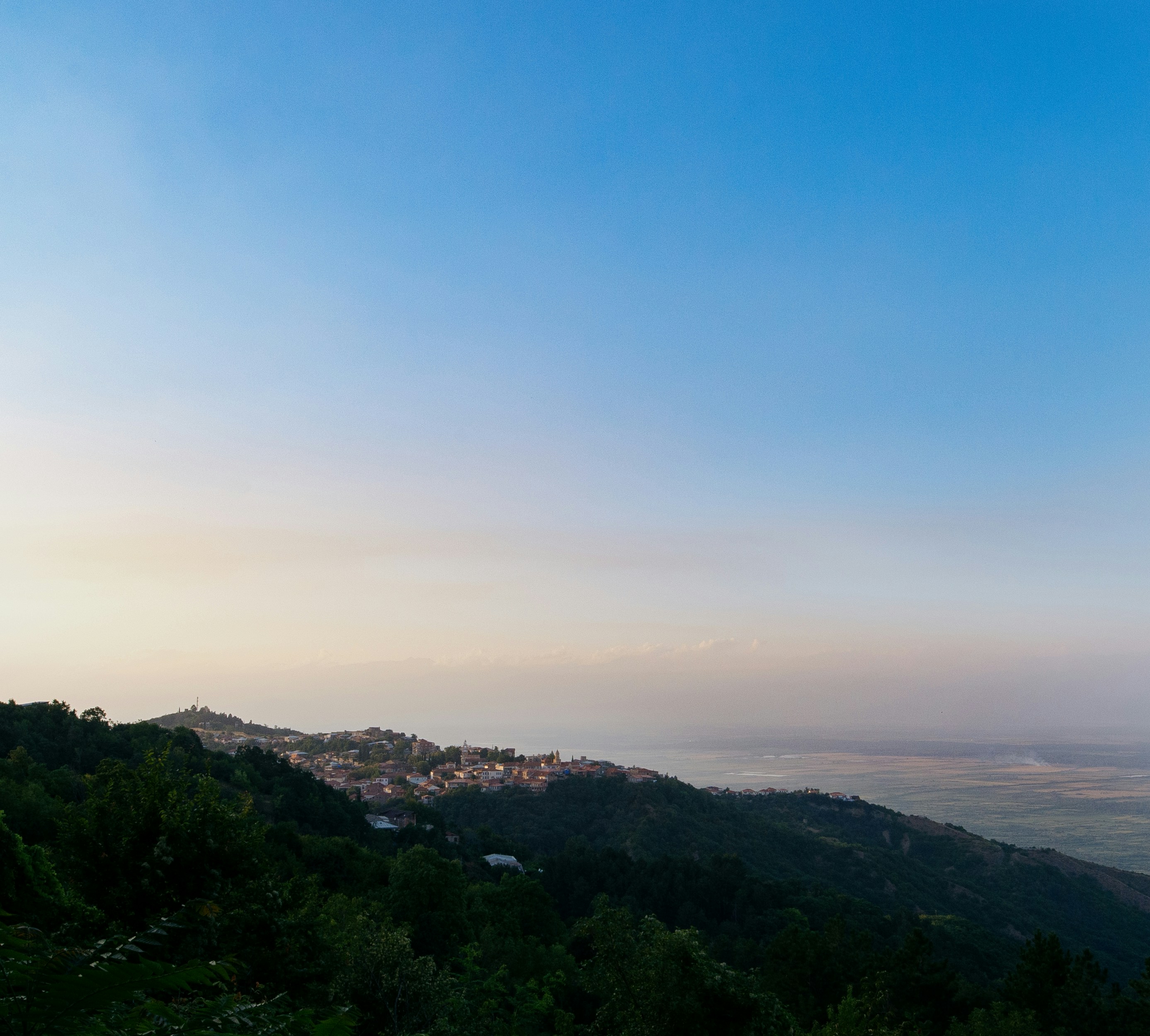 Photo by evil_bumblebee