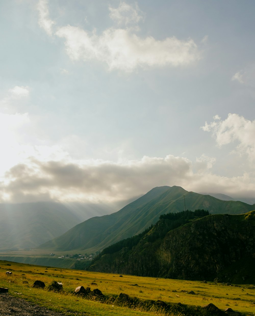 a grassy field with a mountain in the background