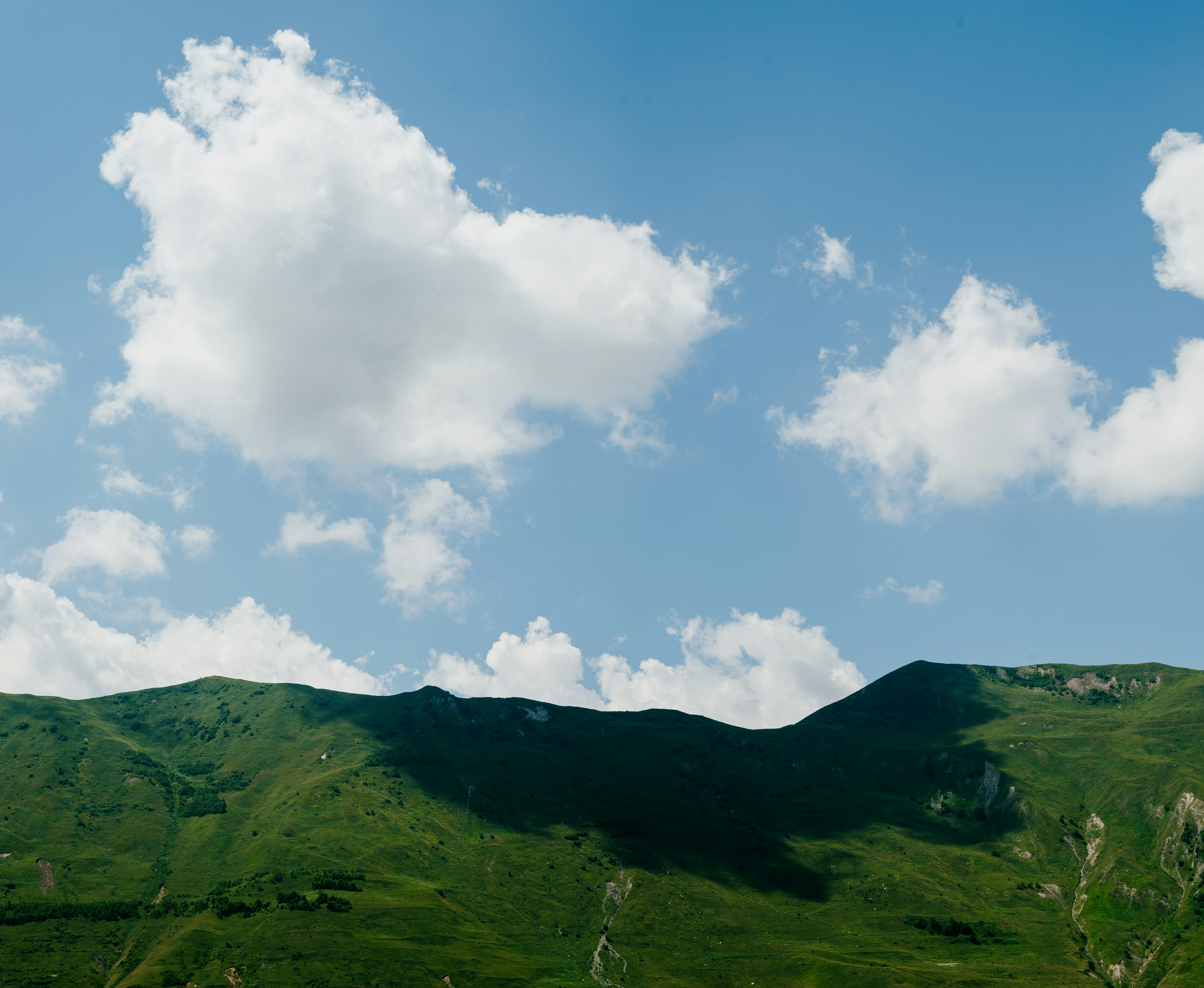 Photo by evil_bumblebee