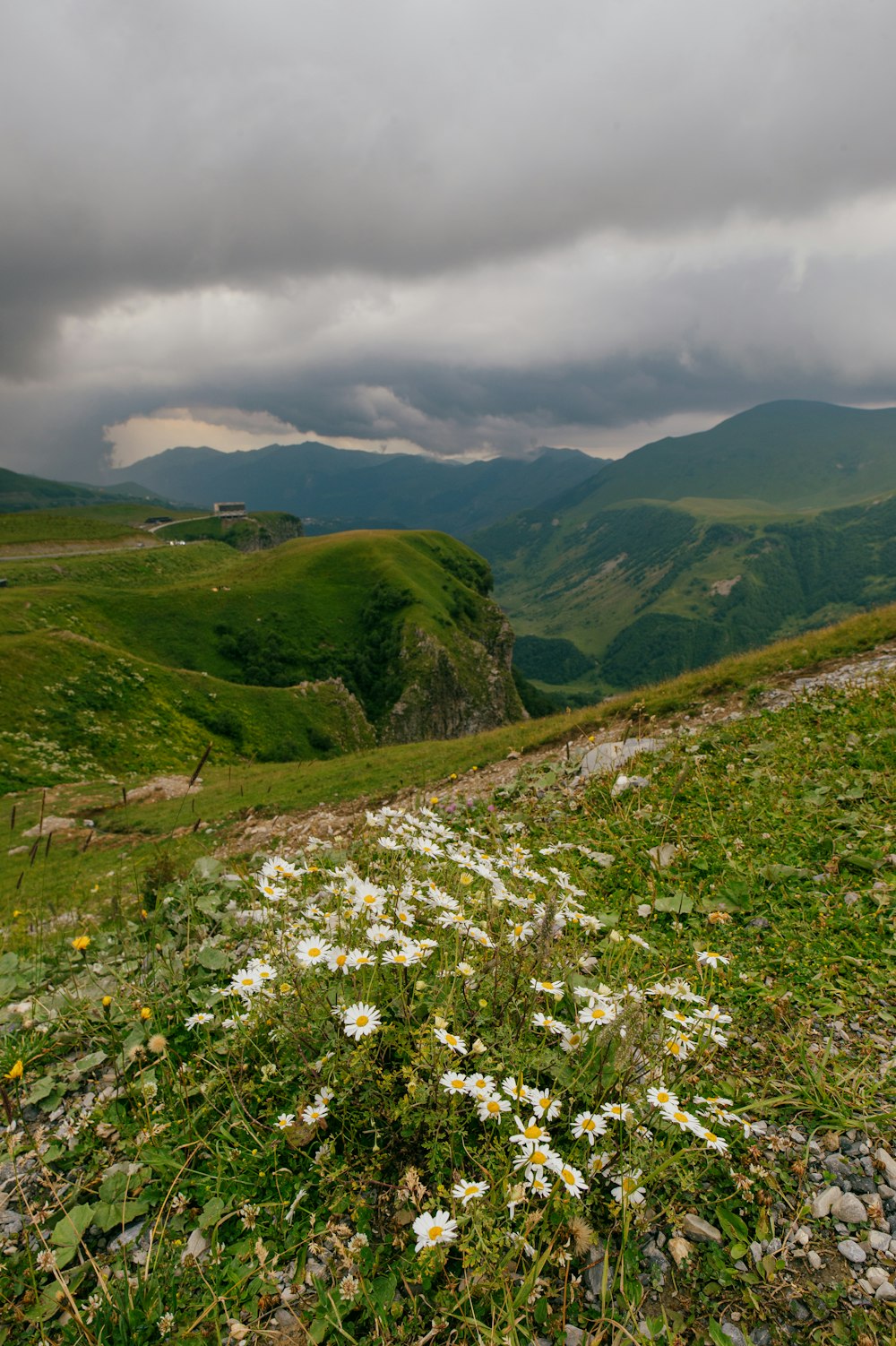 a grassy valley with hills in the background