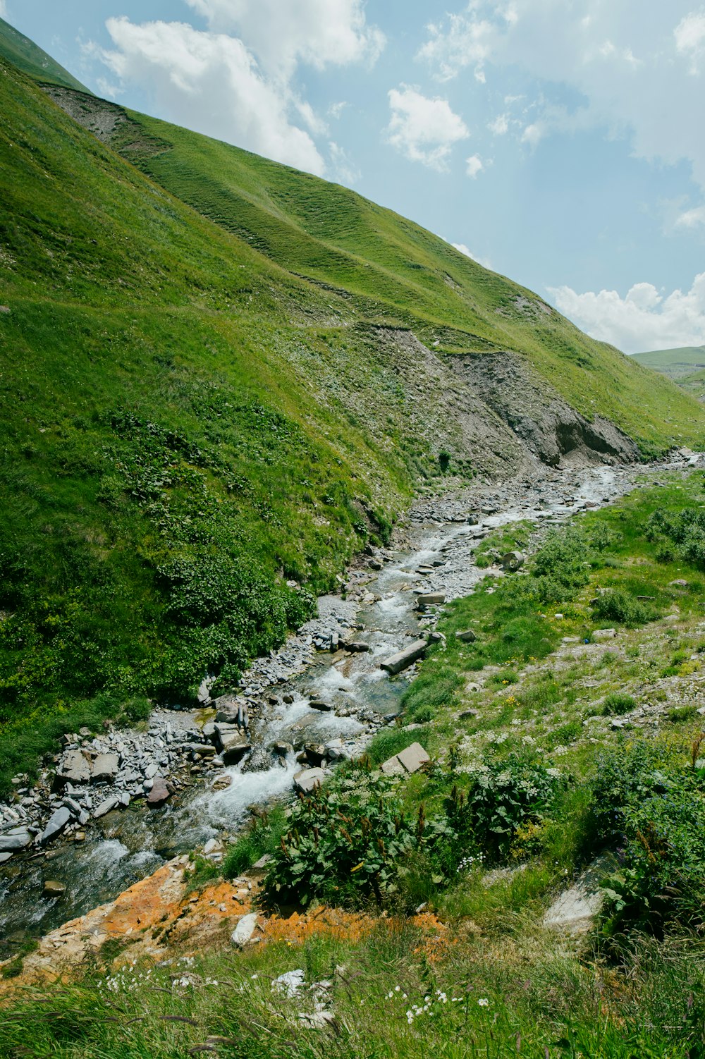 ein Bach, der durch eine Rasenfläche fließt