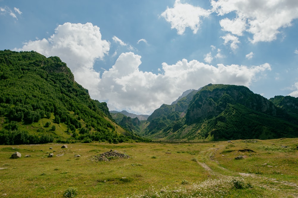 a grassy field with mountains in the background