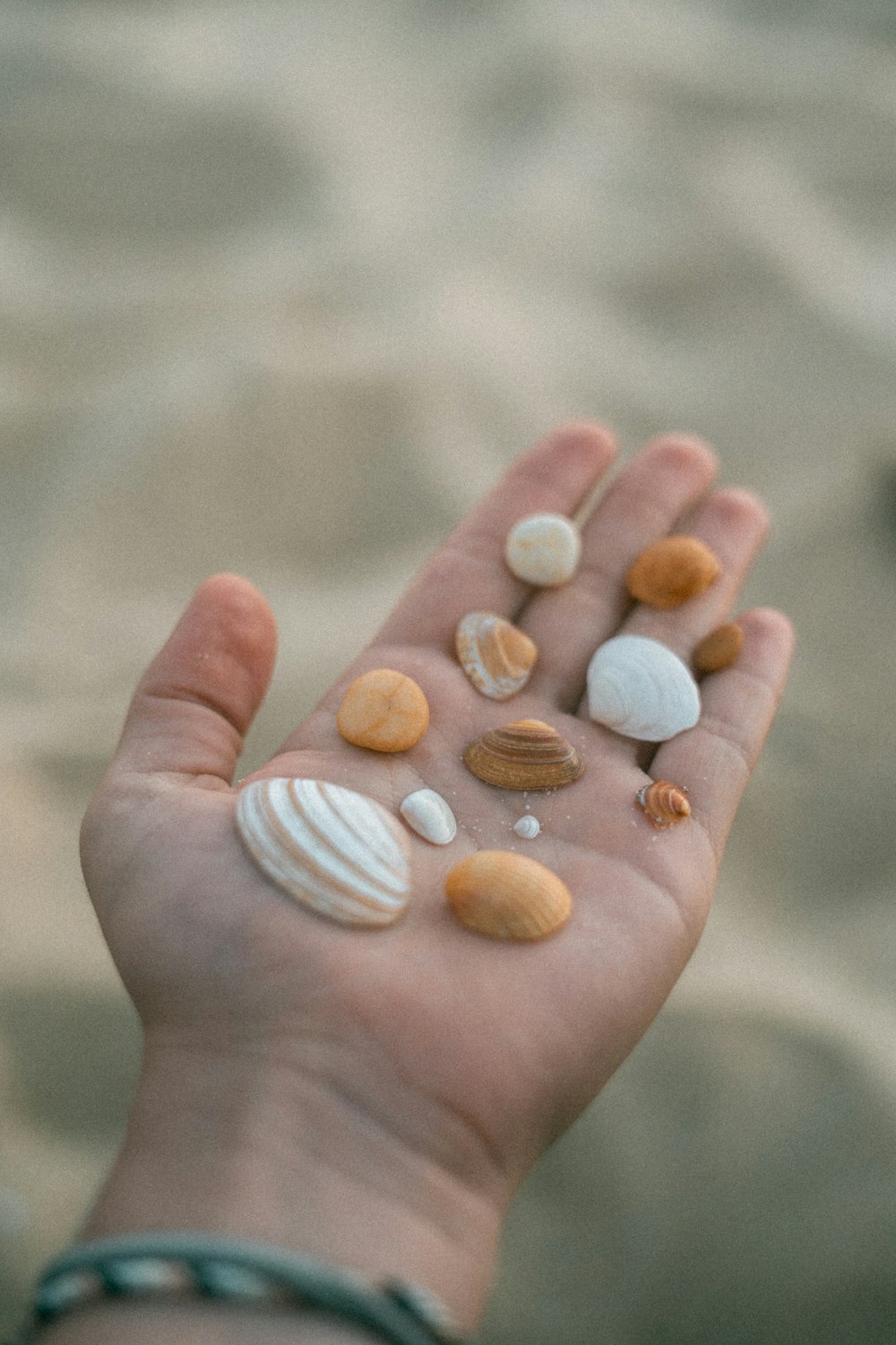 a hand holding small rocks