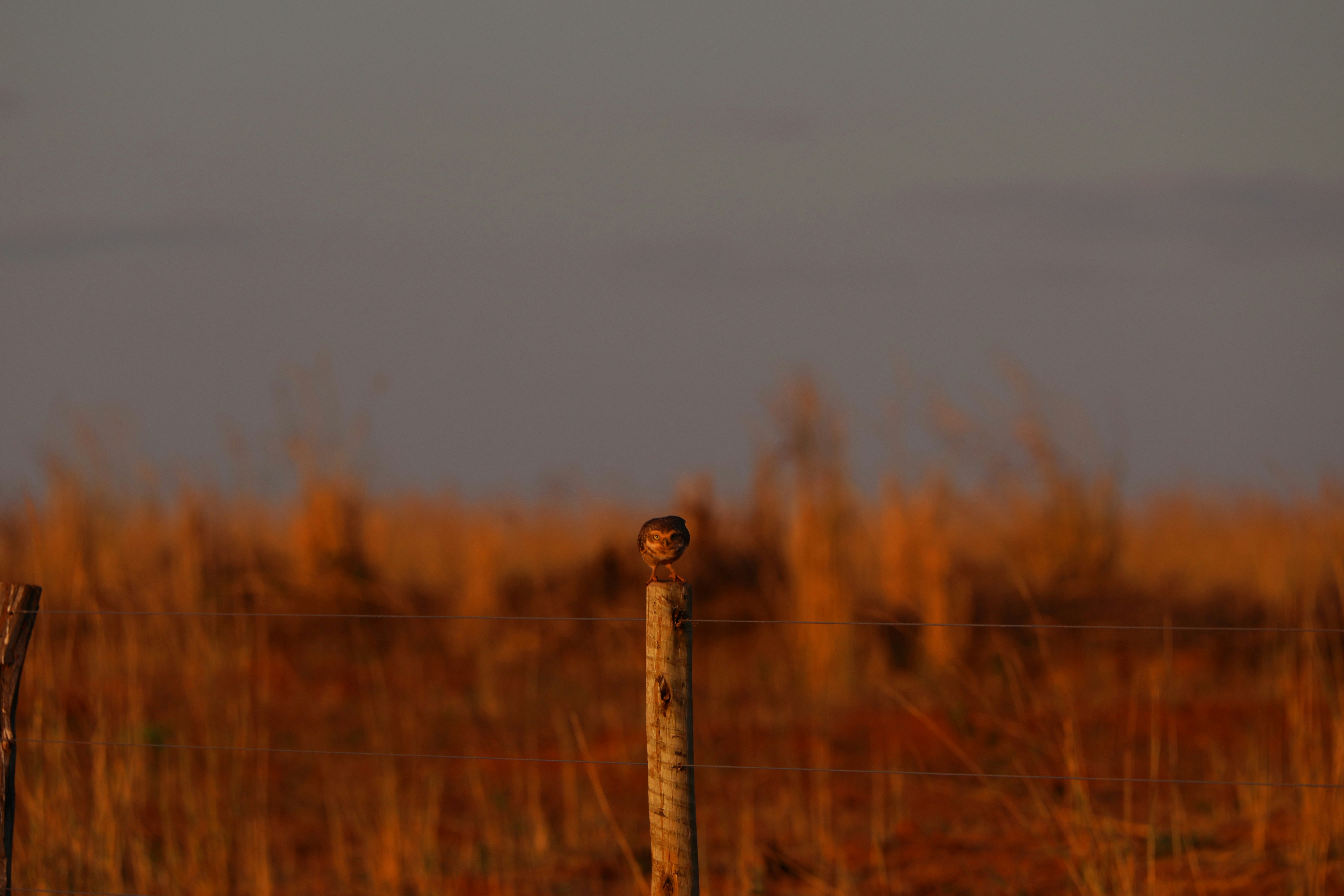 Photo by marcusdallcol