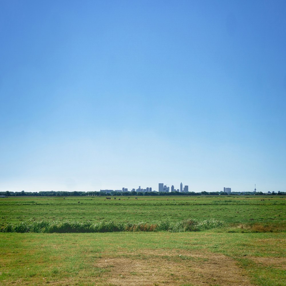a large green field with a city in the distance