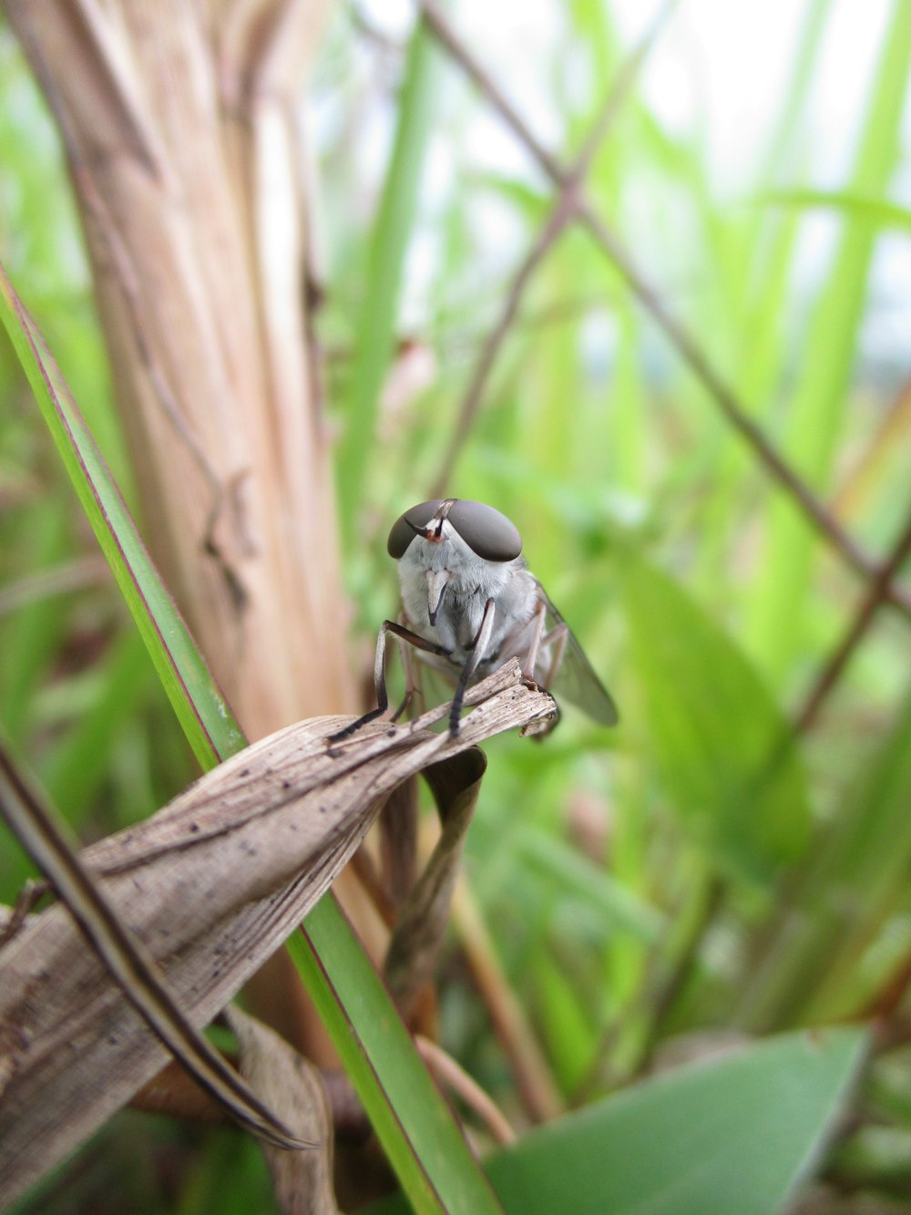 a small animal on a branch