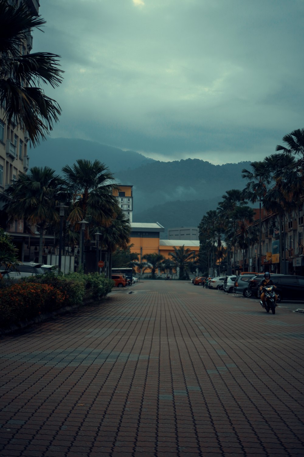 a street with palm trees and buildings