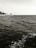 A monochrome image depicting a vast expanse of water, presumably a sea or ocean, with gentle waves creating a textured surface. In the background, a coastal cityscape is visible, featuring several buildings and trees along the shoreline.
